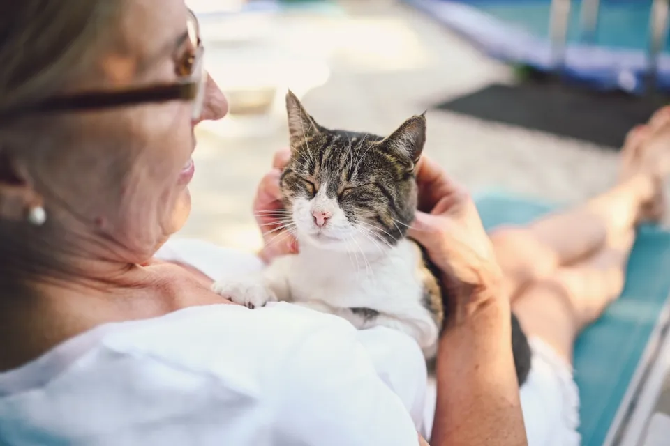 Close-up on older woman holding contented looking cat on her lap.
